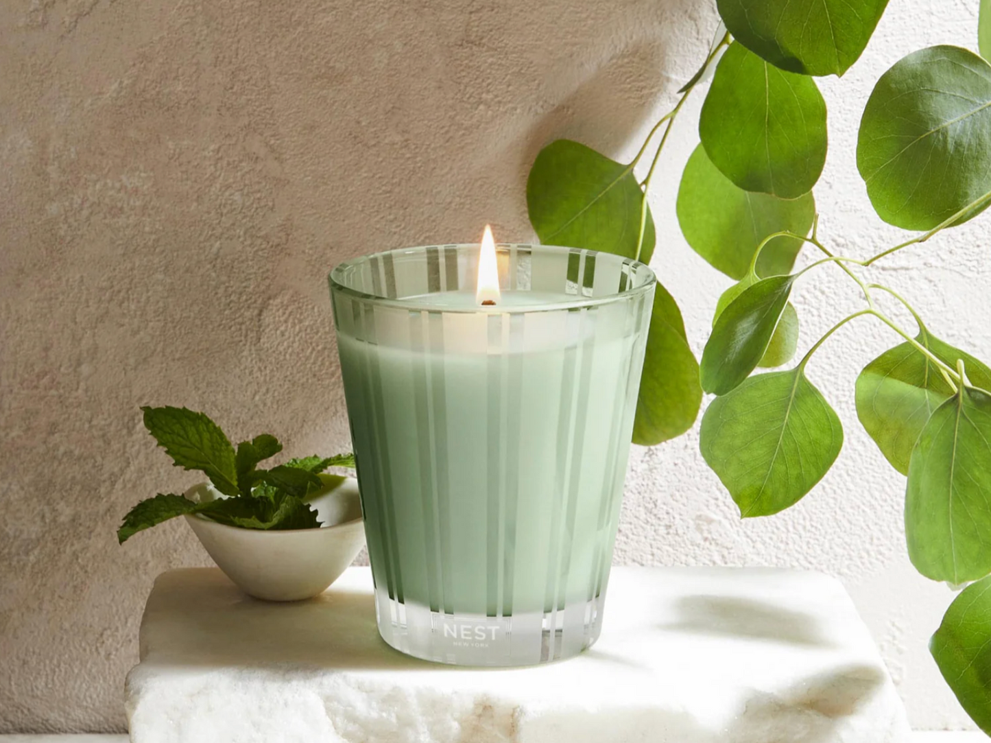 Classic Candle 8.1 oz WILD MINT & EUCALYPTUS