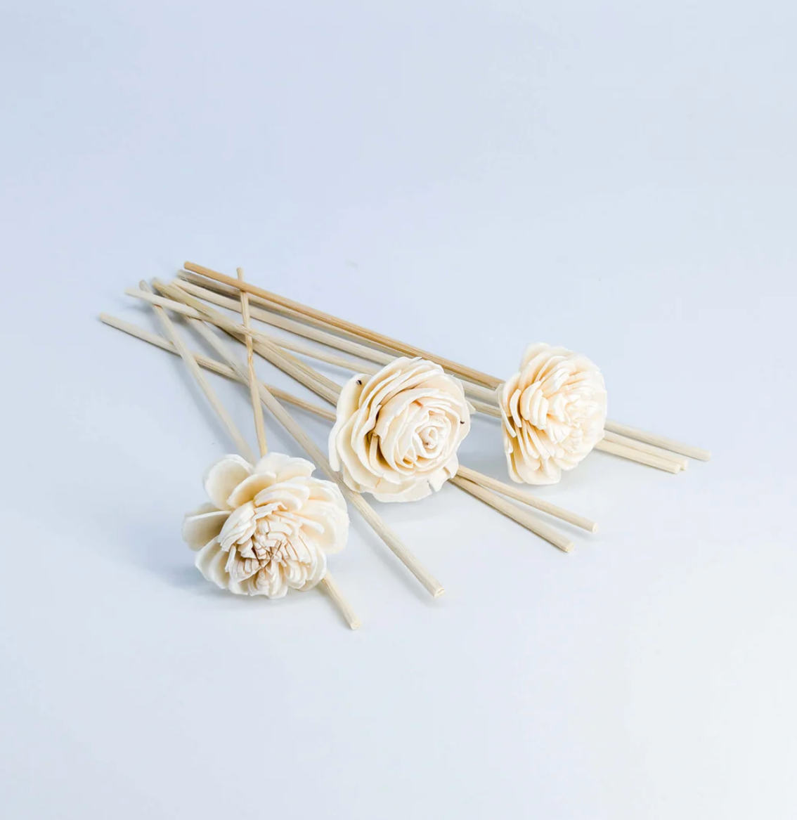REED DIFFUSER-SANDALWOOD & LEATHER