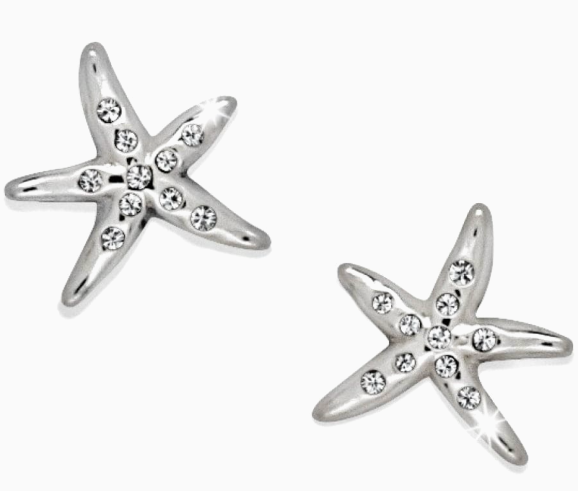 Cape Star Mini Post Earrings