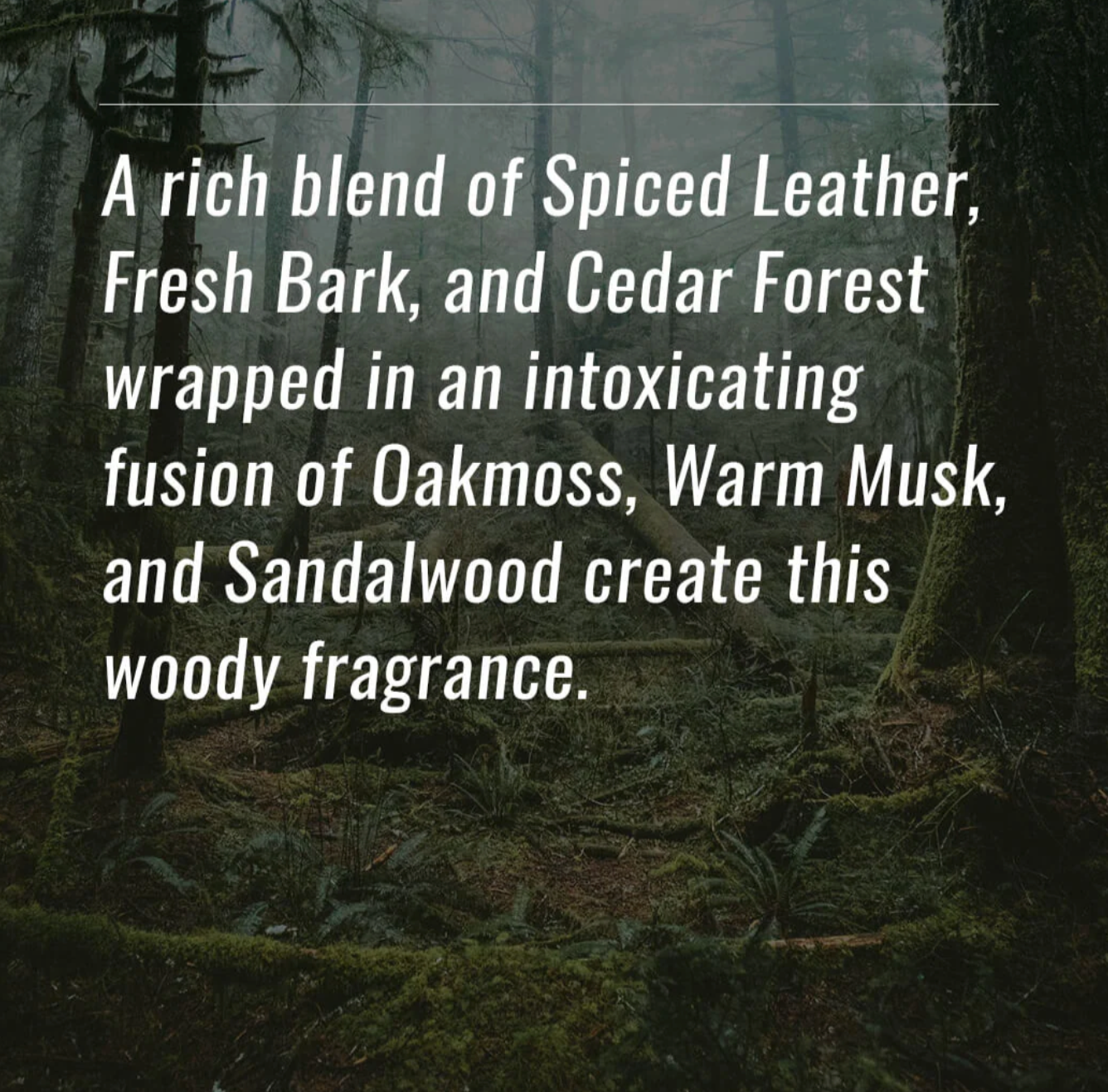 4-Wick Luxe Candle-Sandalwood & Leather