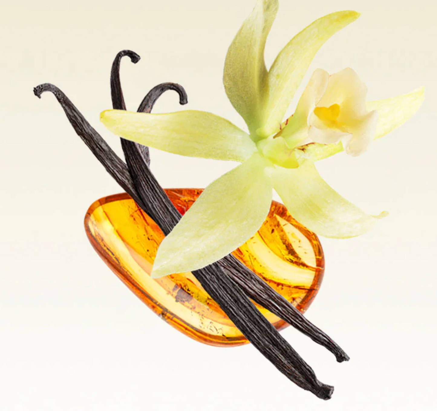 GF 10.1 fl. oz. Body Wash - KYOTO IN BLOOM