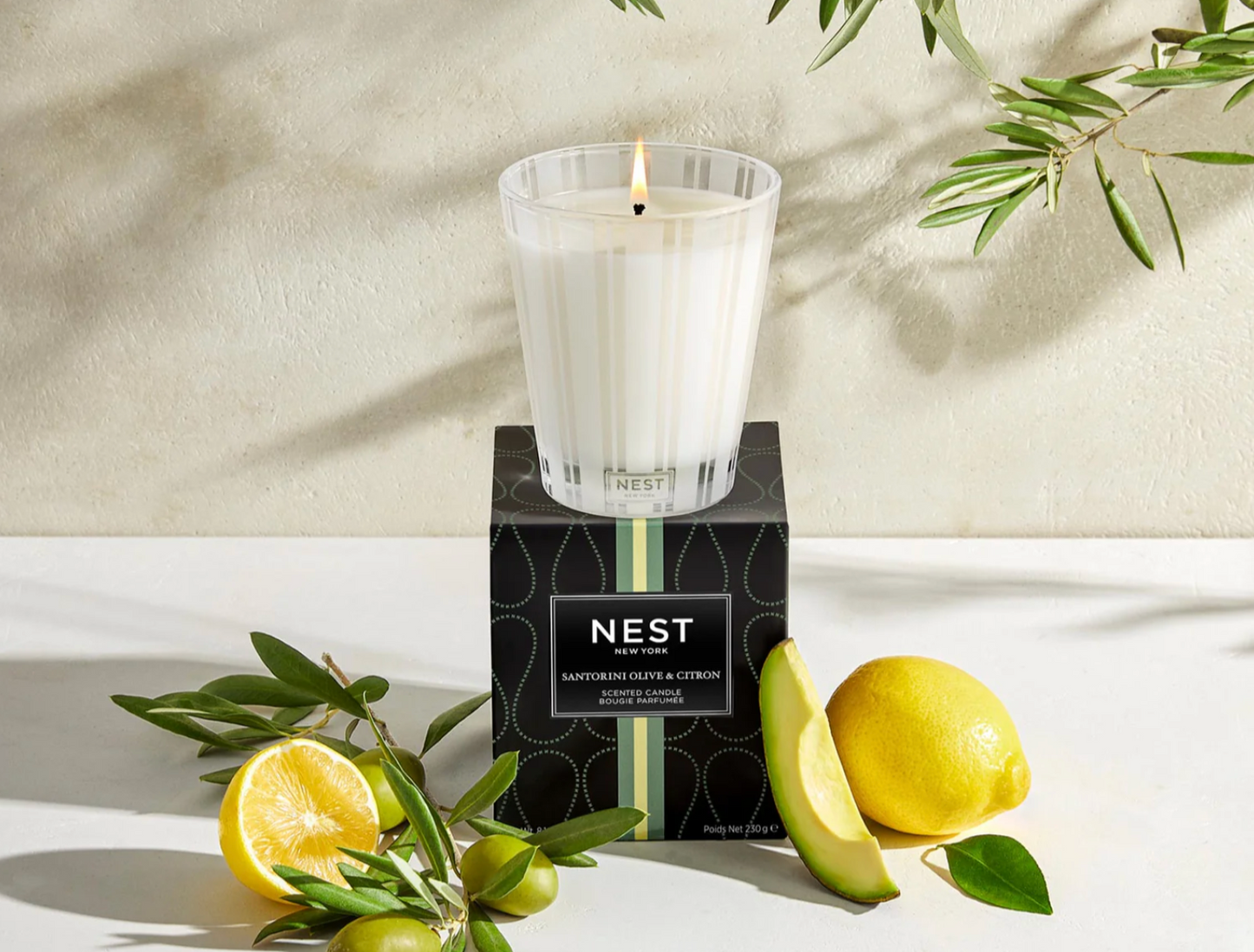 Classic Candle 8.1 oz SANTORINI OLIVE & CITRON