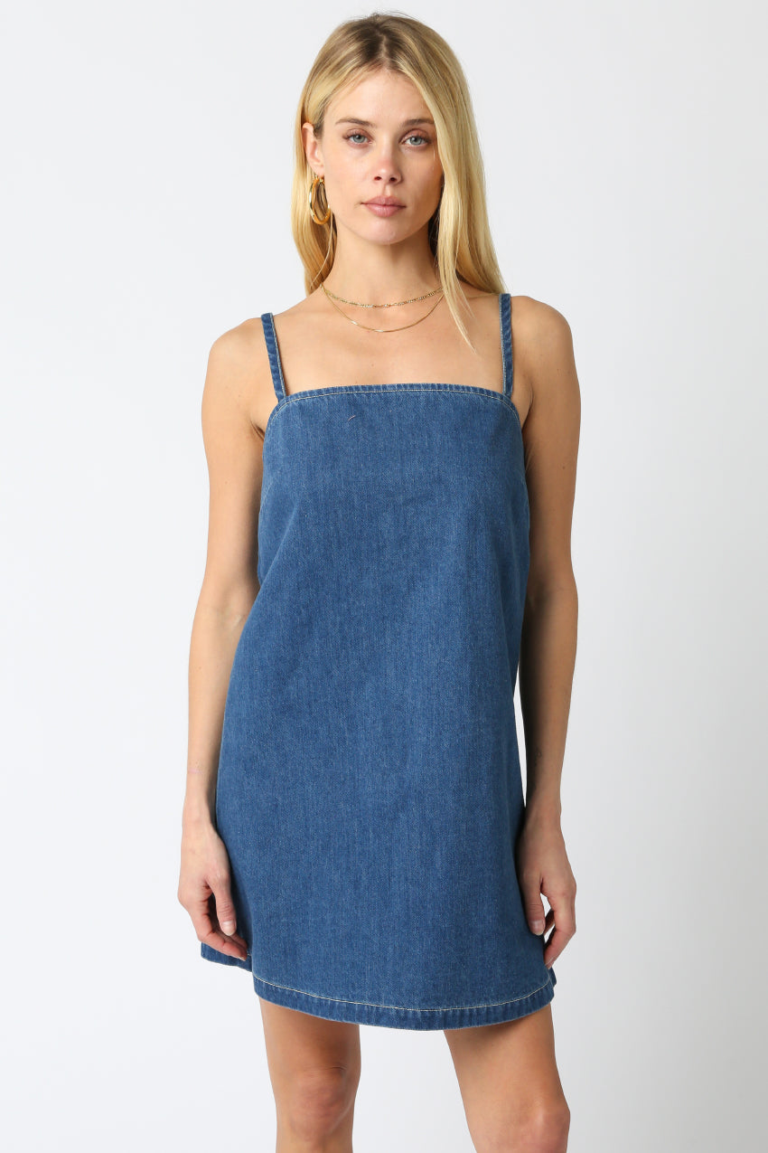 Tresha Denim Mini Dress