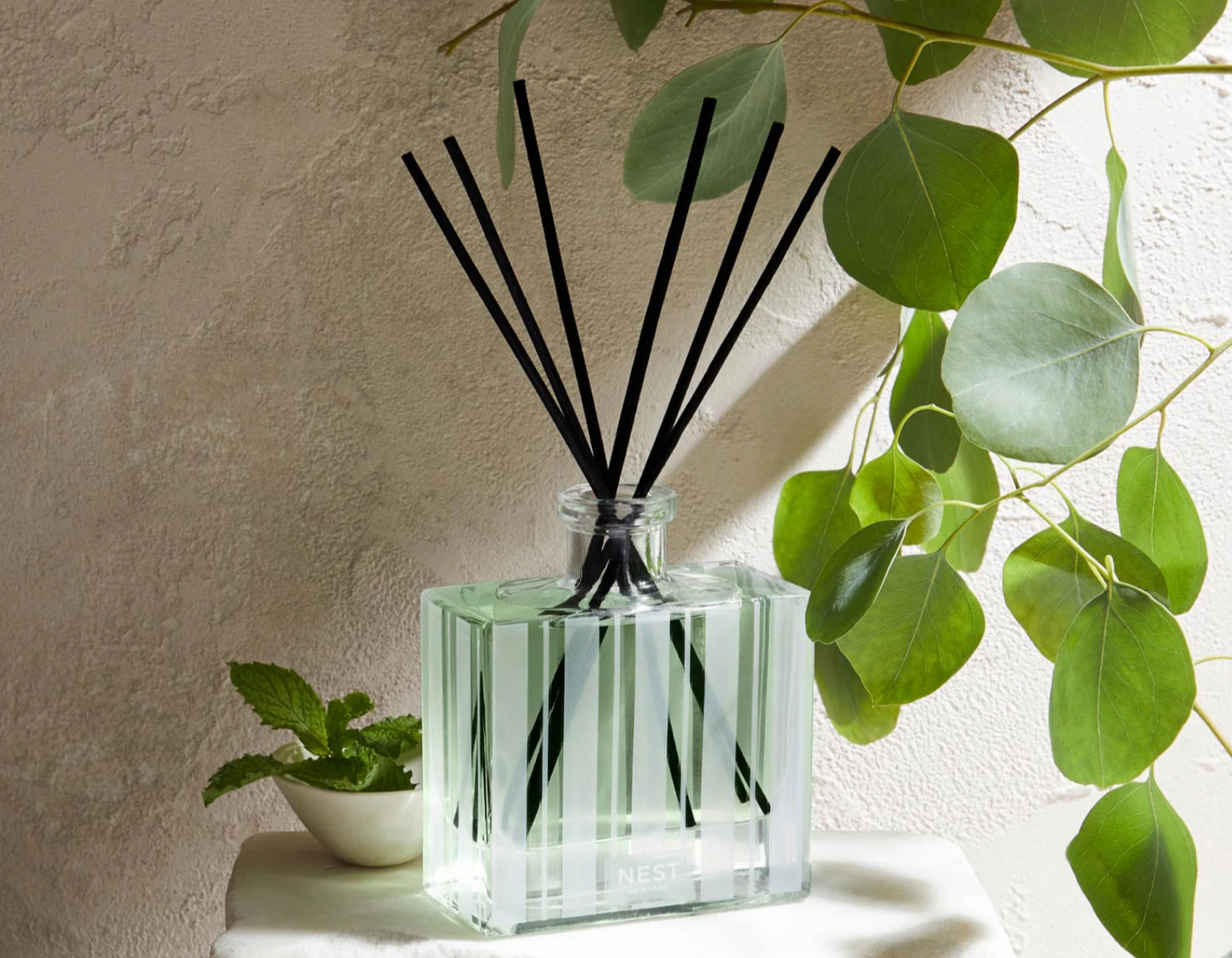 Reed Diffuser 5.9 fl.oz/175 ml WILD MINT & EUCALYPTUS