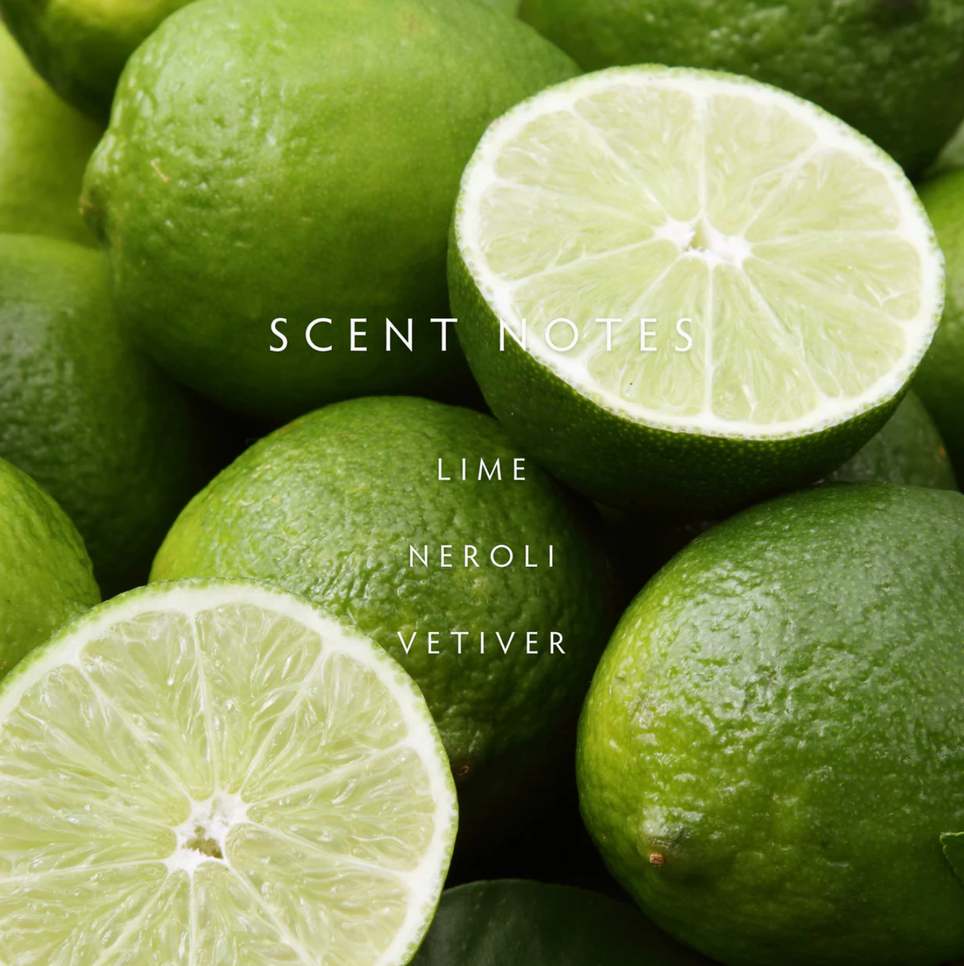 Persian Lime Reed Diffuser Kit