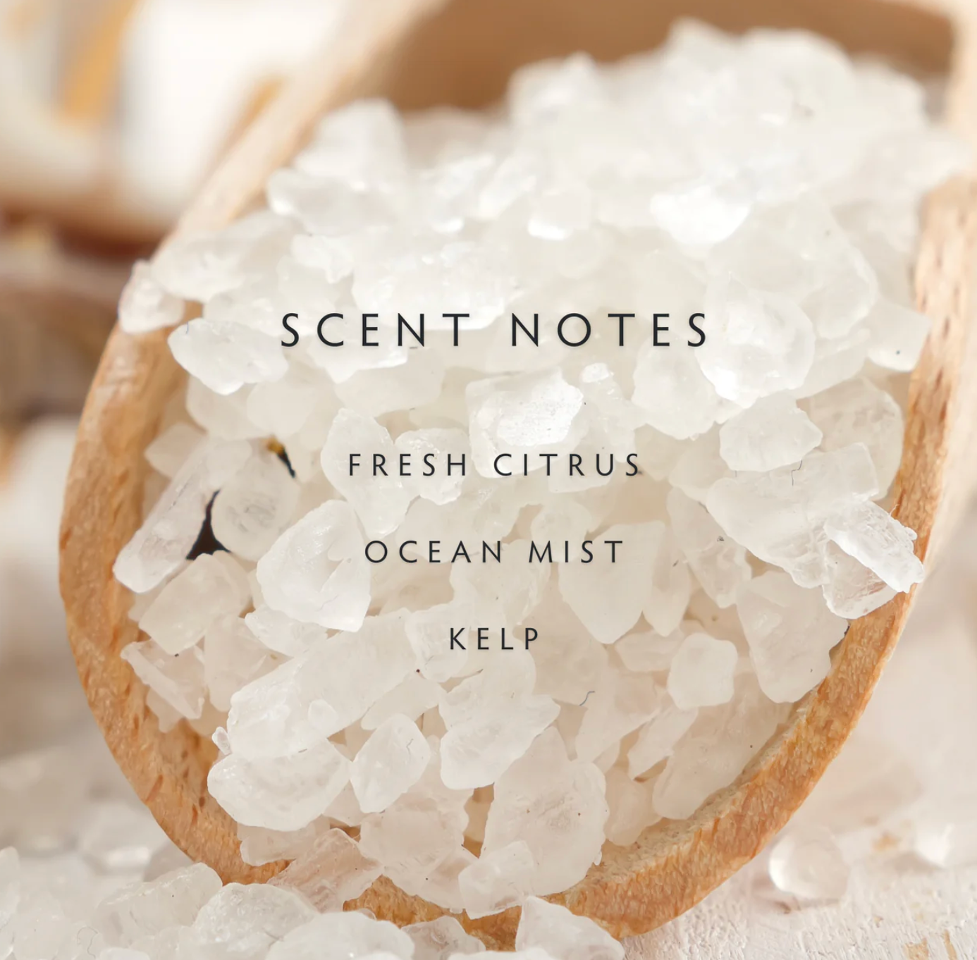 Sea Salt Large Candle