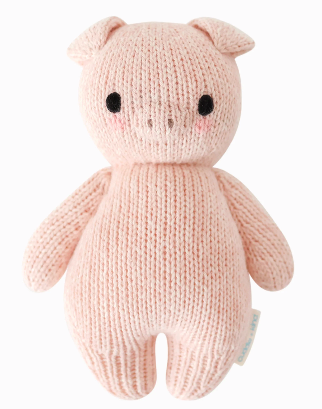 Baby piglet