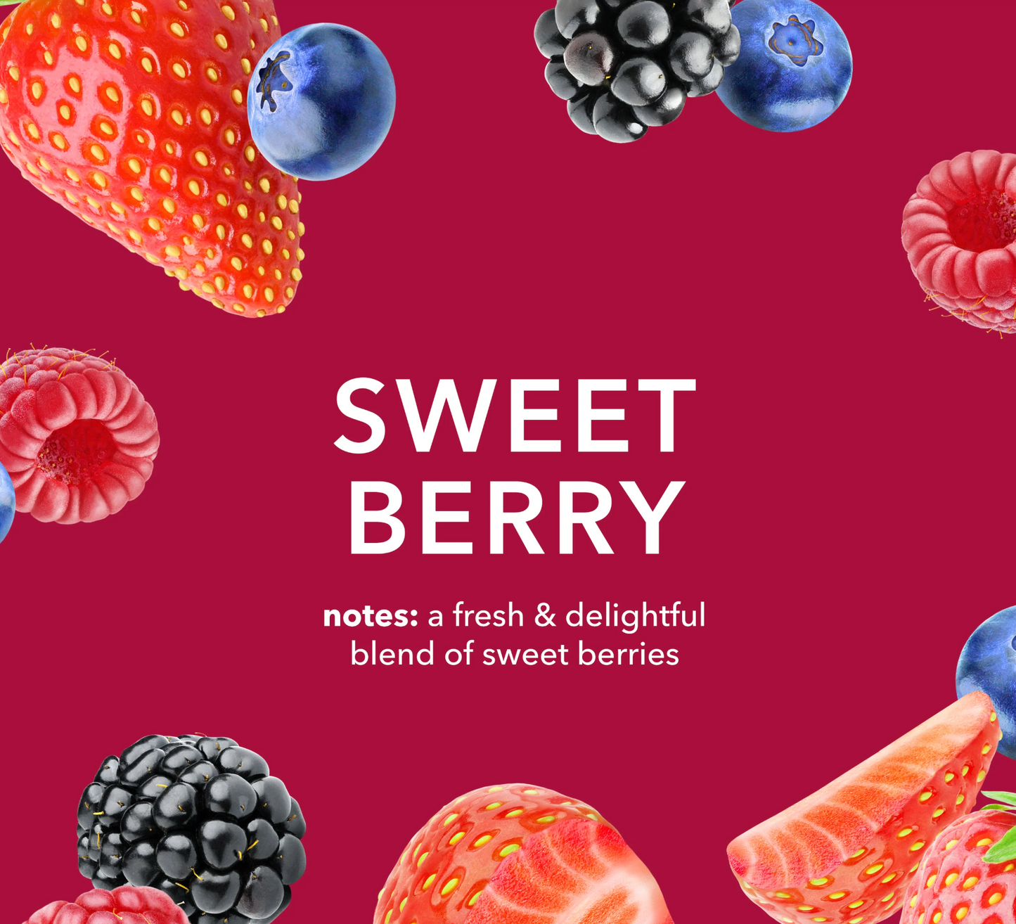 .28 oz Sweet Berry Lip Balm