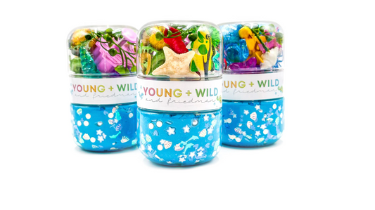 Grab & Go Dough Jar - Ocean