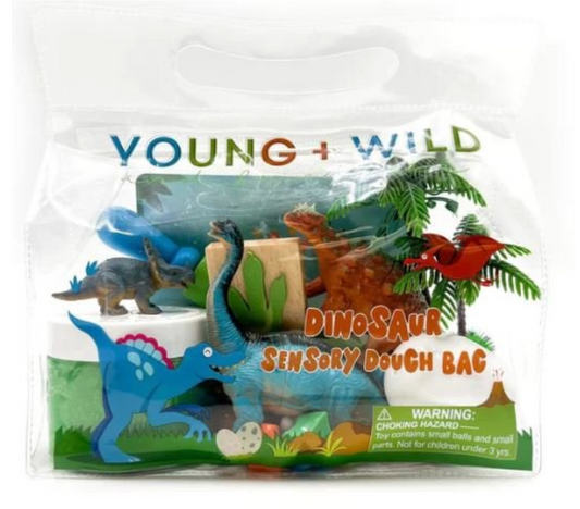 Sensory Dough Bag - Dinosaur
